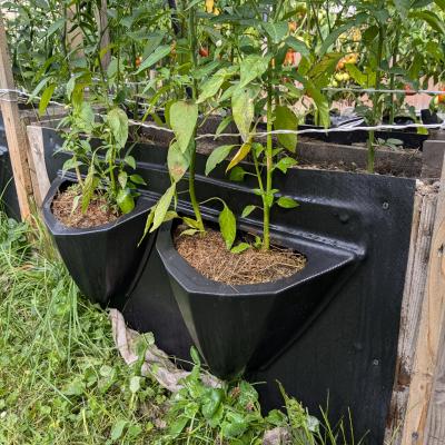Услуги по производству изделий из пластика методом вакуумнного формованния